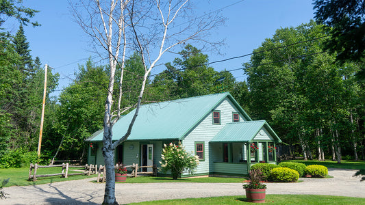 Camp Bonaventure Atlantic Salmon