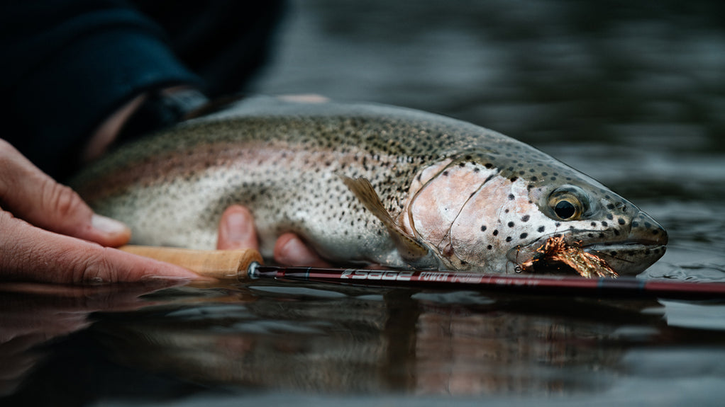 Fly fishing in the mountains near Coyhaique River Lodge in Chilean Patagonia