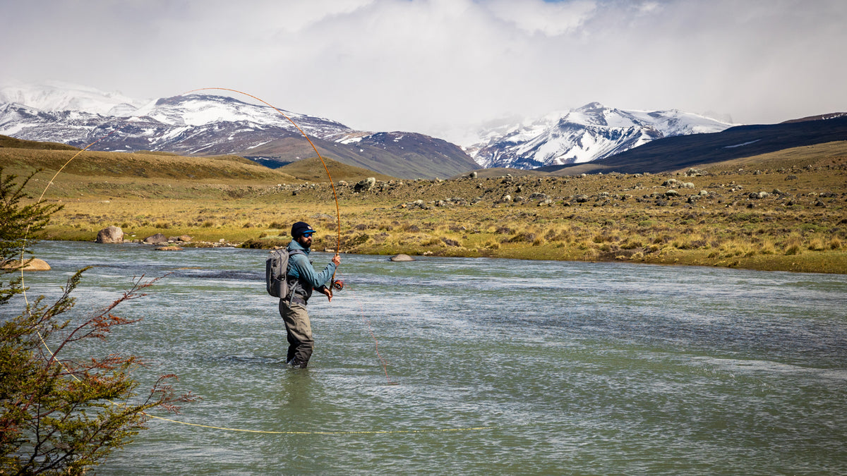 The Kings of Patagonia