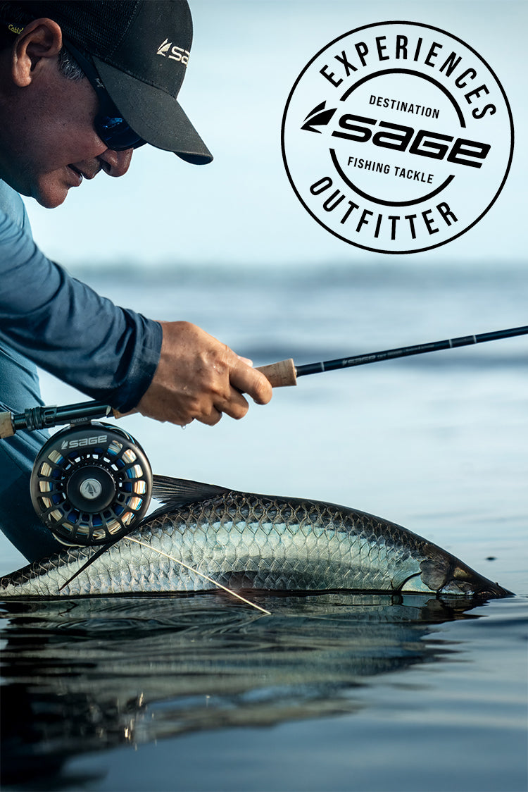 anglers fishing pole lost ark rapport Isla del Sabalo