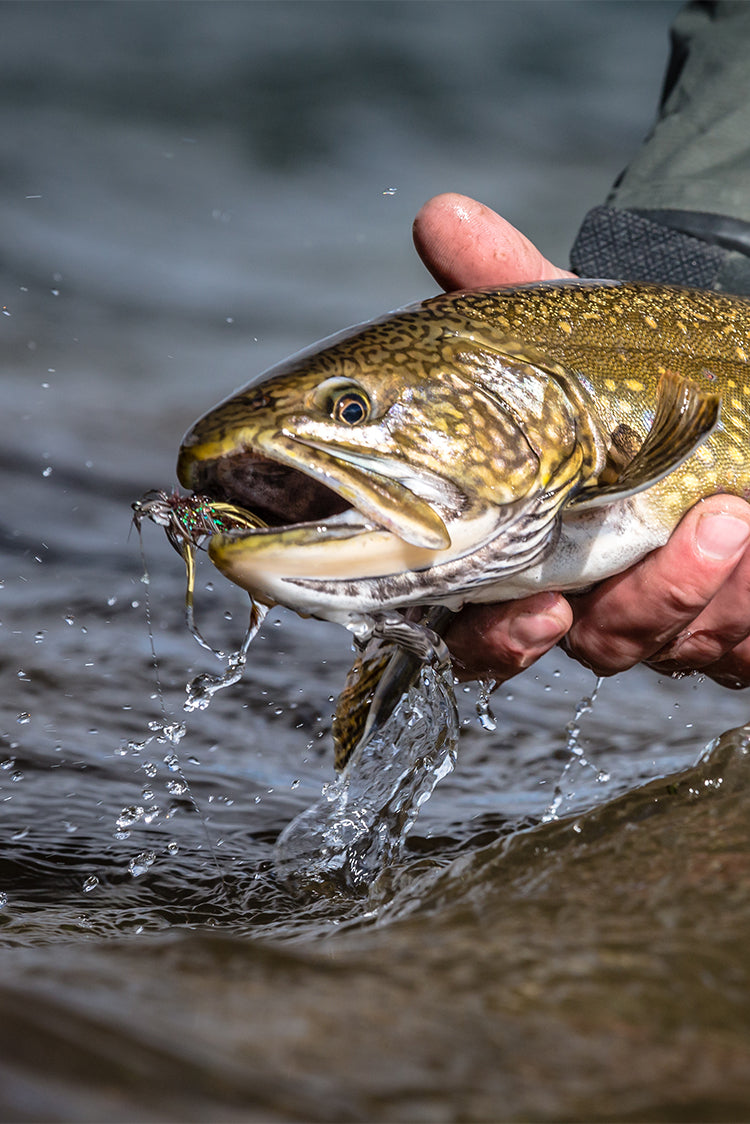 corcovado fly fishing rod Las Pampas Lodge