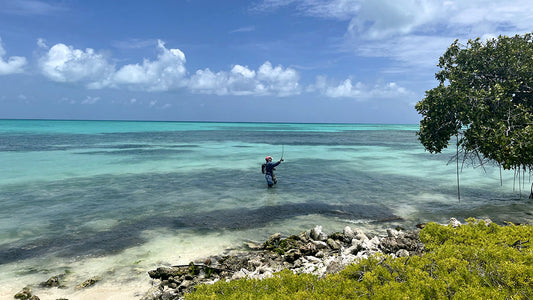 Los Roques