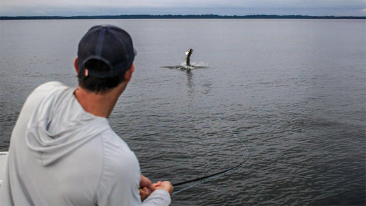 Port Gentil Tarpon Experience