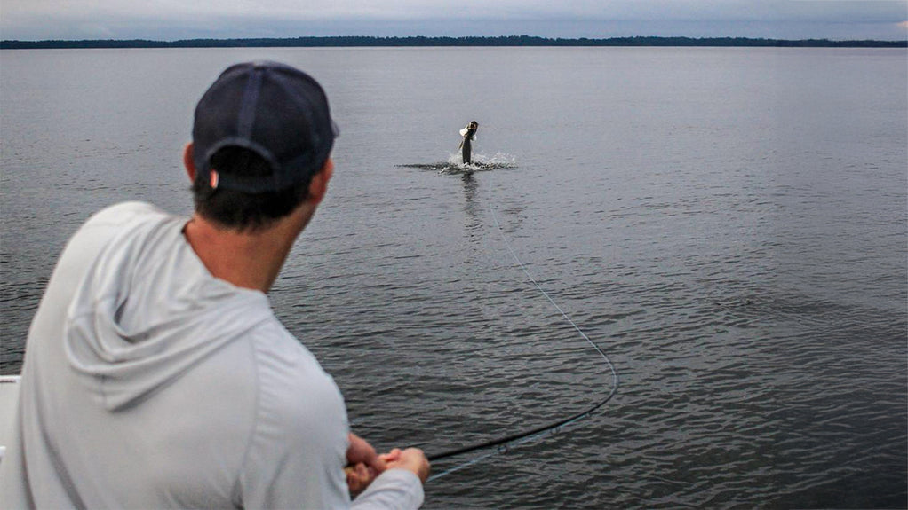 Port Gentil Tarpon Experience | Fly Water Travel