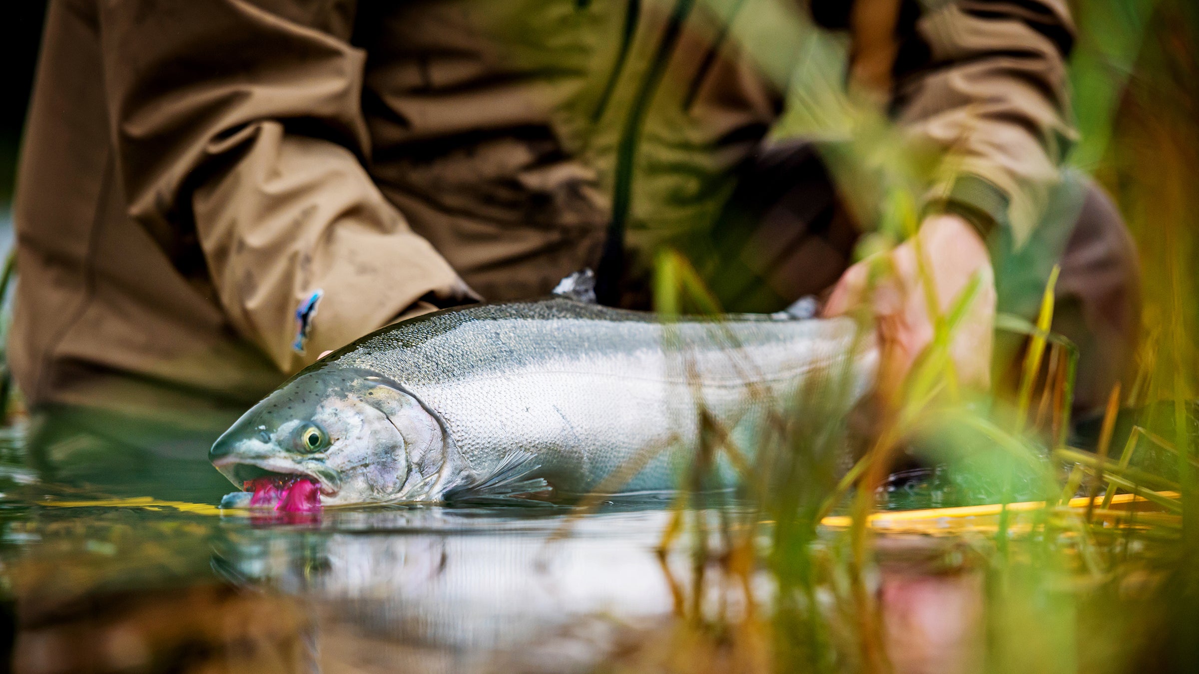 Fly Water Travel | Worldwide Destination Fly Fishing