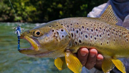 Rio Manso Lodge