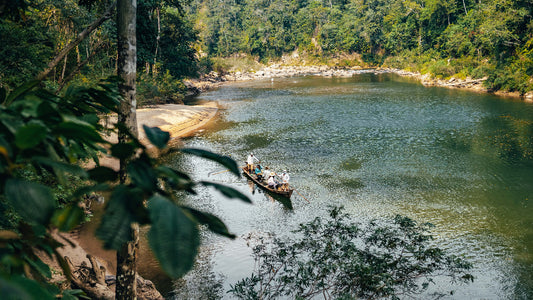 Tsimane - Secure Lodge
