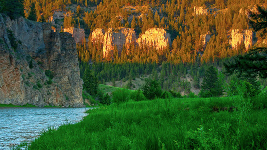 Smith River Float Trips