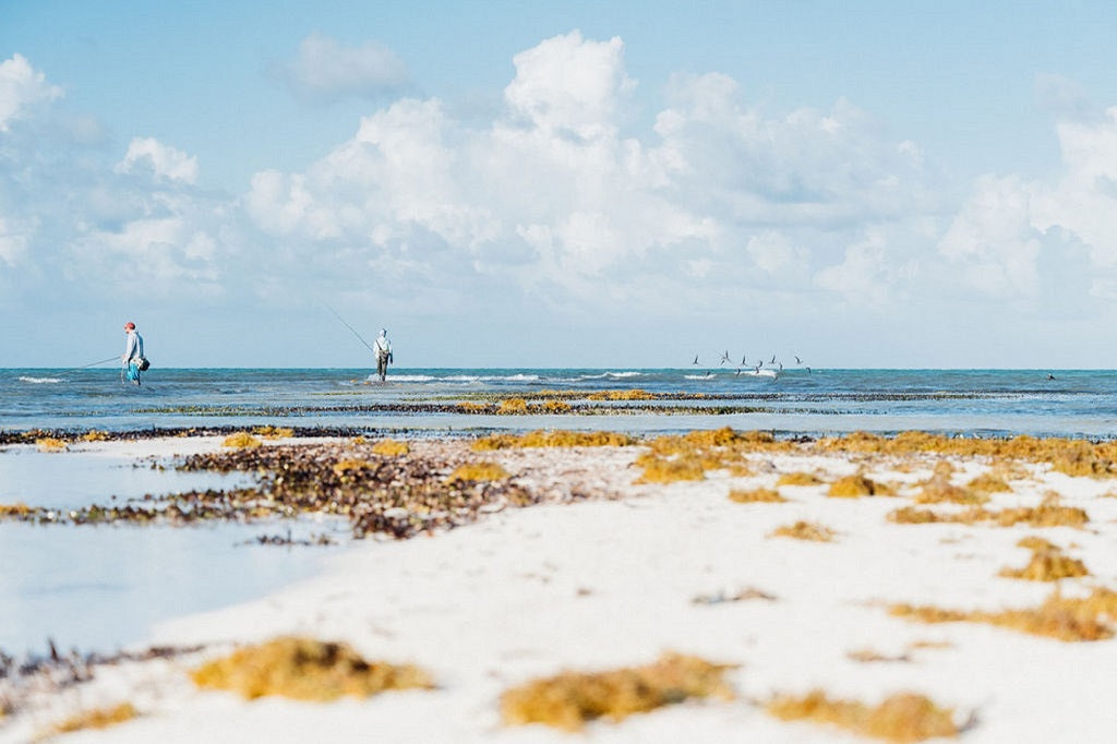Bulize Target Saltwater Fly Fishing Gear, Flies & Tying Materials | Ole Florida Fly Shop