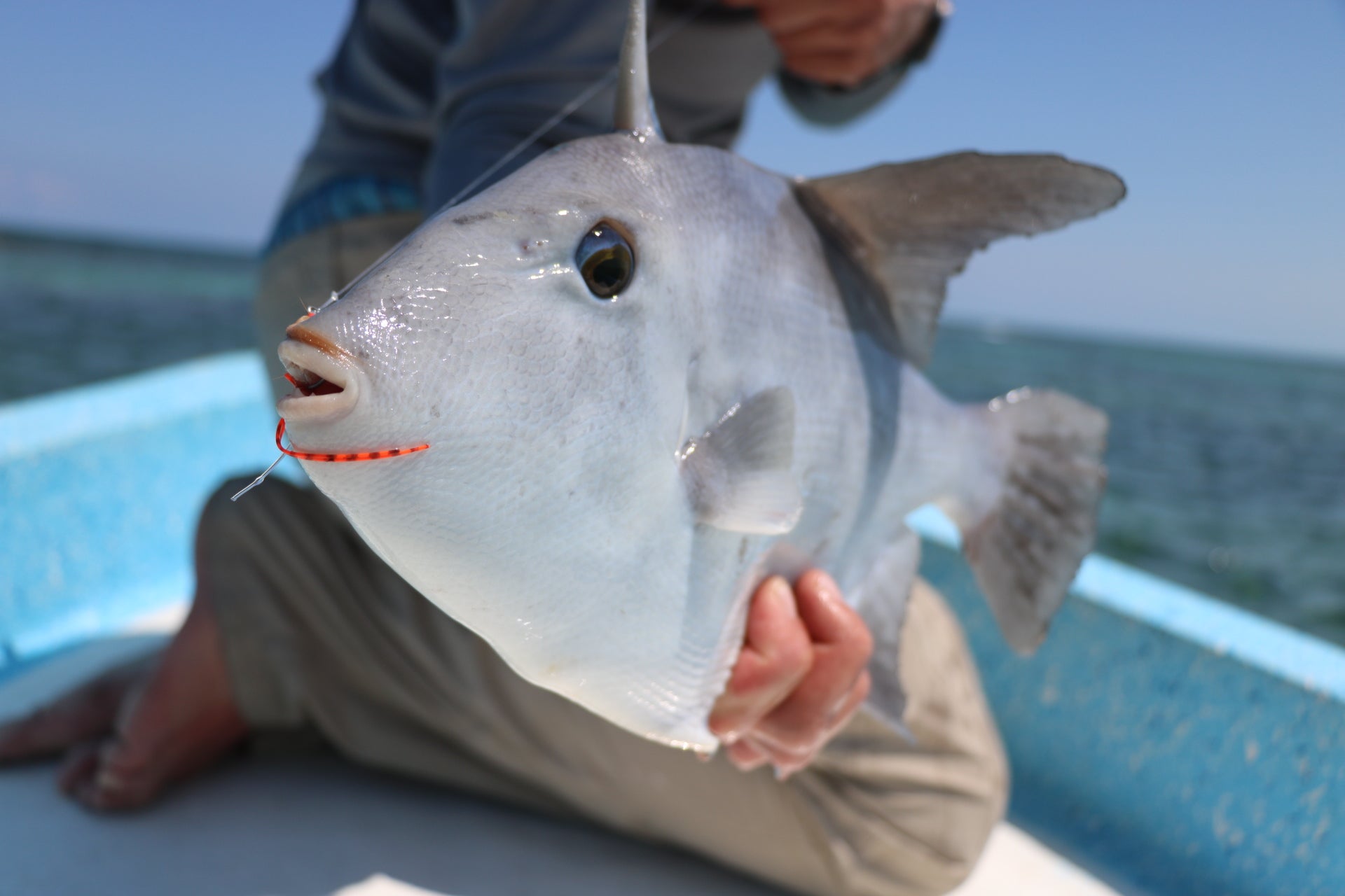 Bulize Target Premium Online Fly Fishing Store | Ole Florida Fly Shop