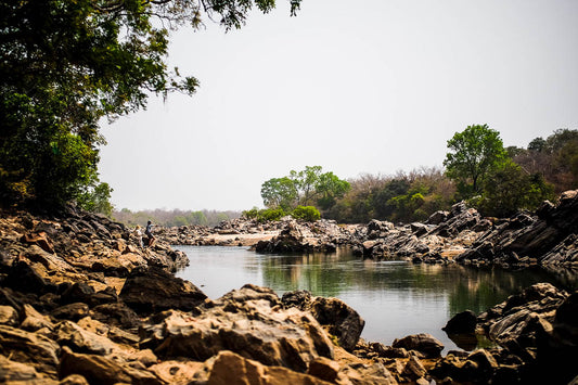 Gassa Camp - Nile Perch