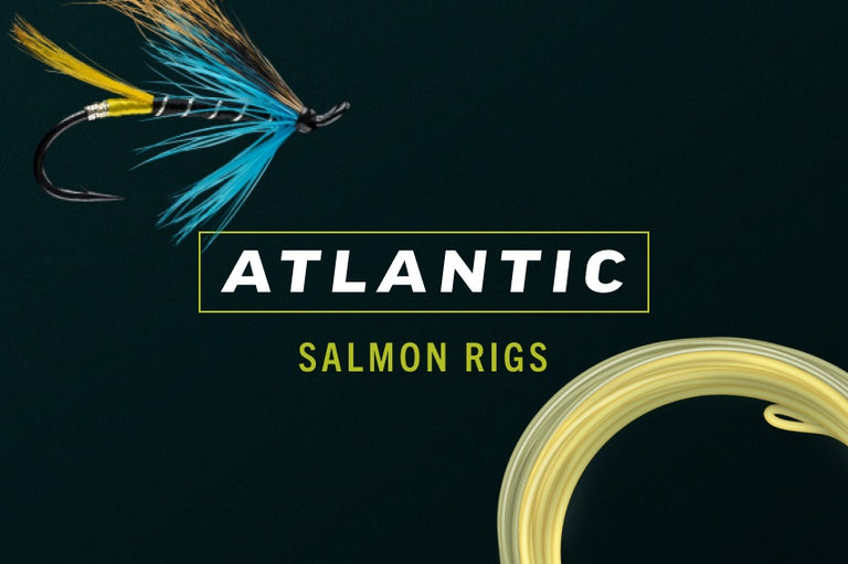 RIO Salmon Shop All Collection
