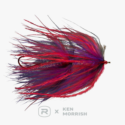 RIO's Morrish Trailer Trash
