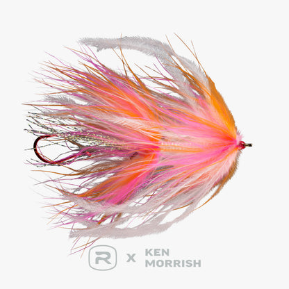 RIO's Morrish Trailer Trash
