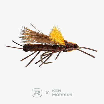 RIO's Morrish Fluttering Stone