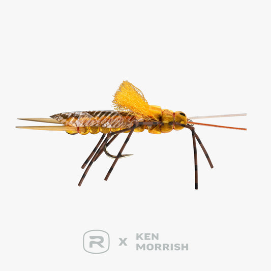 RIO's Morrish Still Stone
