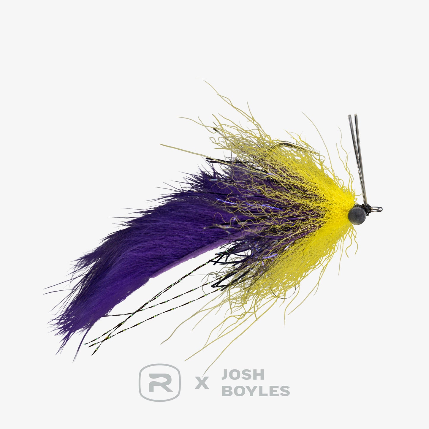 RIO's Boyles Swamp Fox