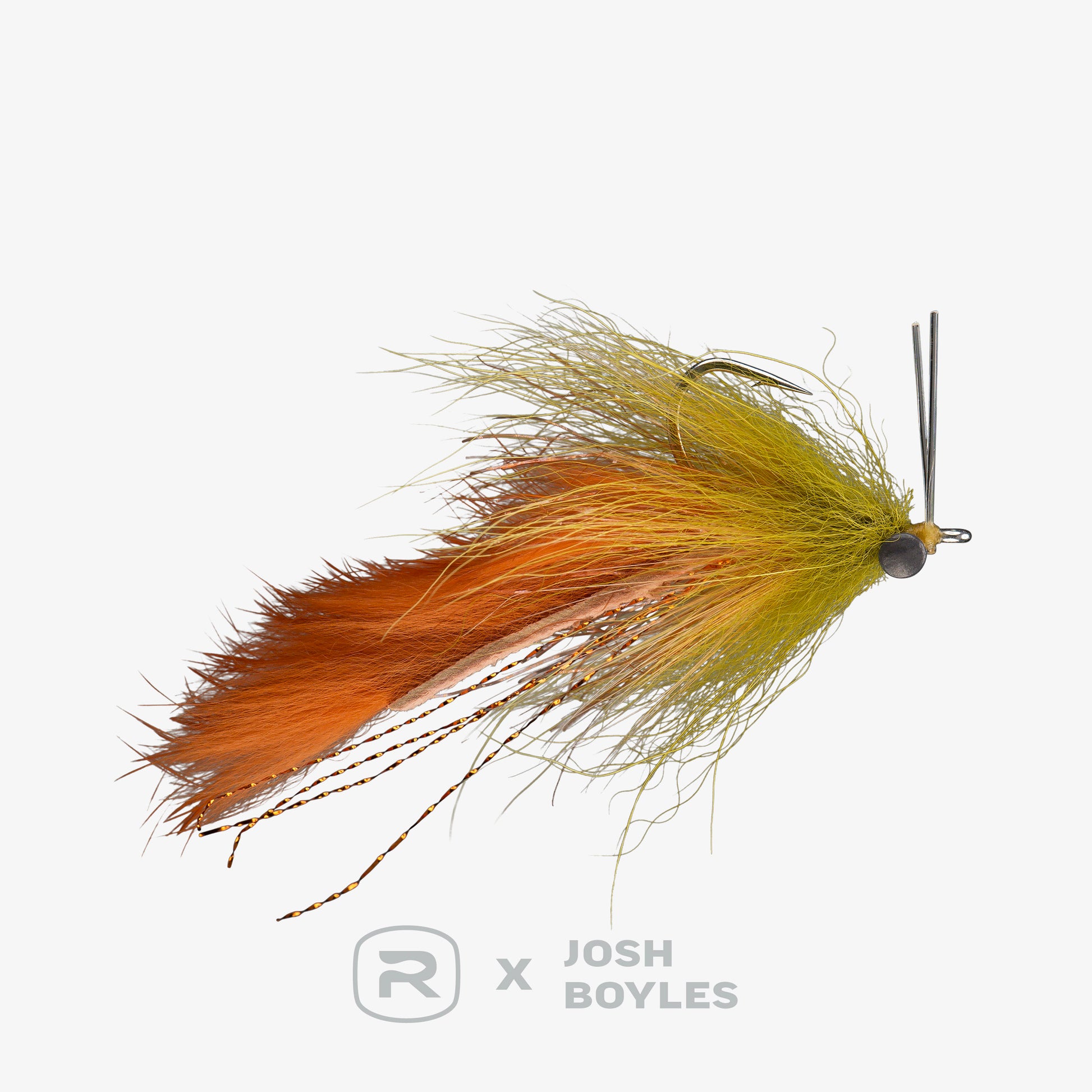 RIO's Boyles Swamp Fox