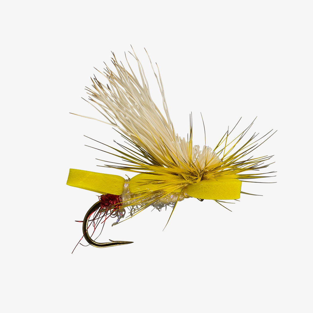 RIO's Skater Tot | RIO Products