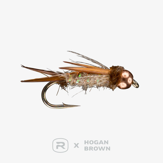 Amber Wing Dictator Natural