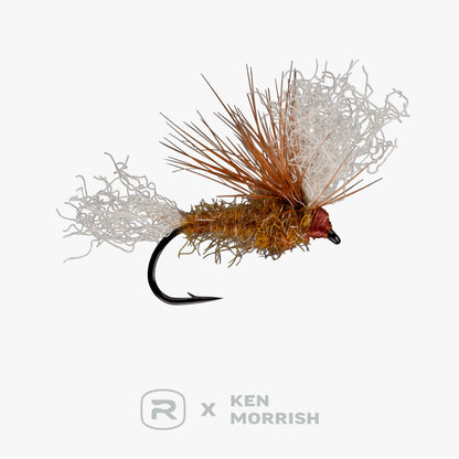 RIO's Morrish May Day