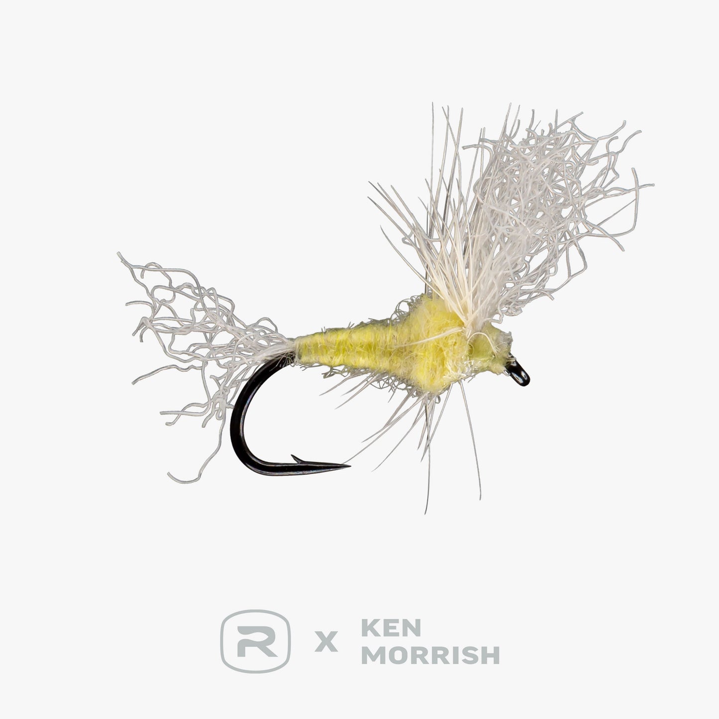 RIO's Morrish May Day