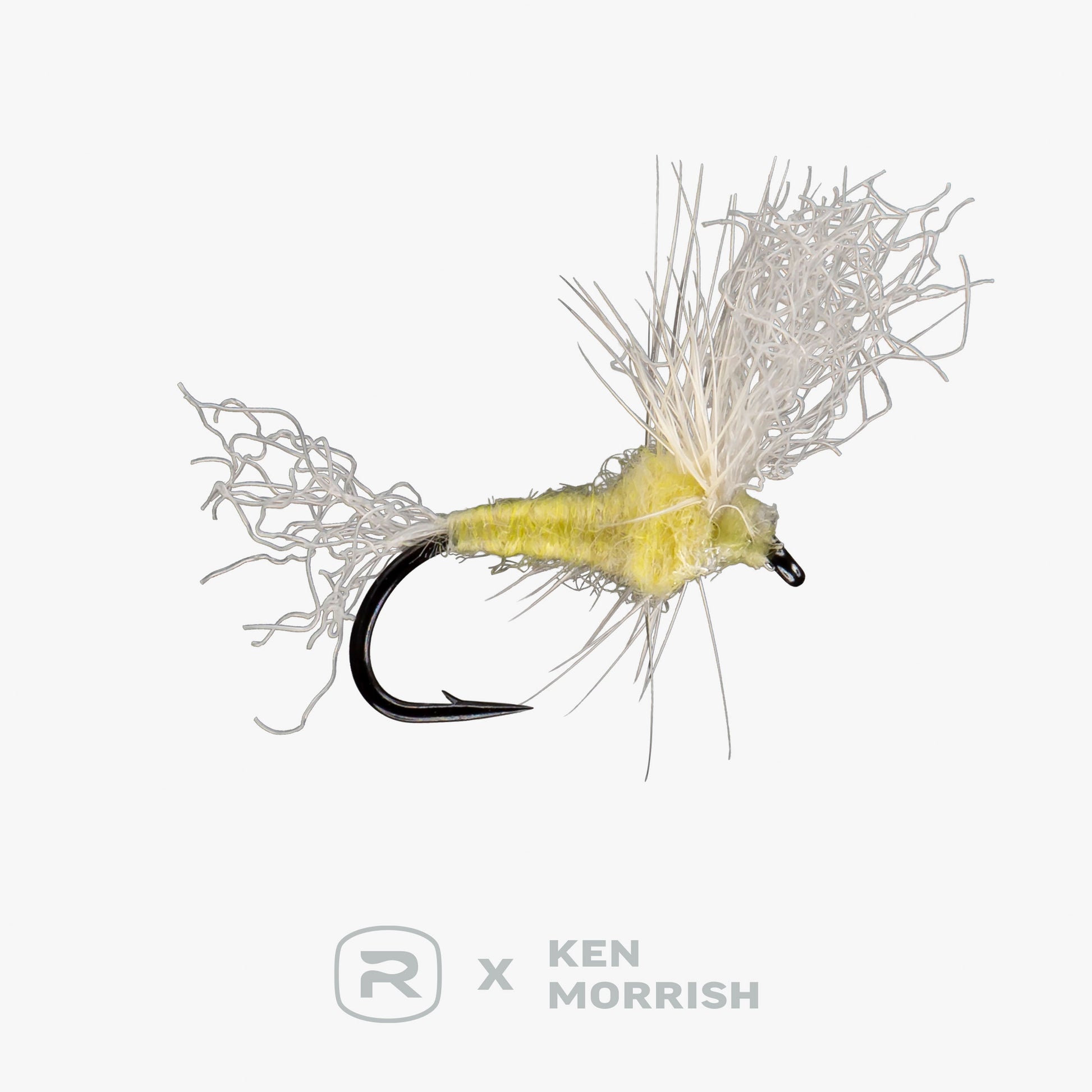 RIO's Morrish May Day