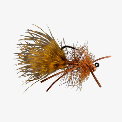 Gold Jigger RL Brown