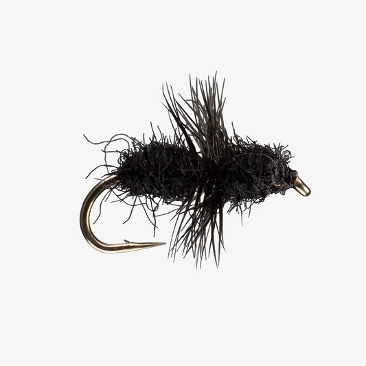 Fur Ant