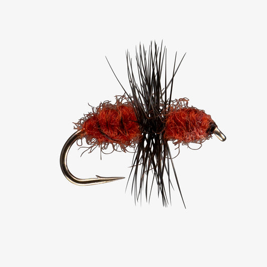 Fur Ant