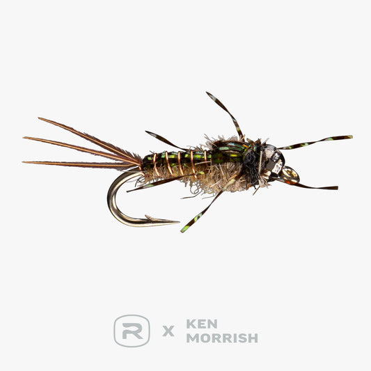 RIO's Morrish Anato-May TB