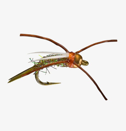 RIO's Prince Of Power Olive/Brown