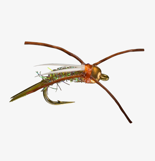 RIO's Prince Of Power Olive/Brown