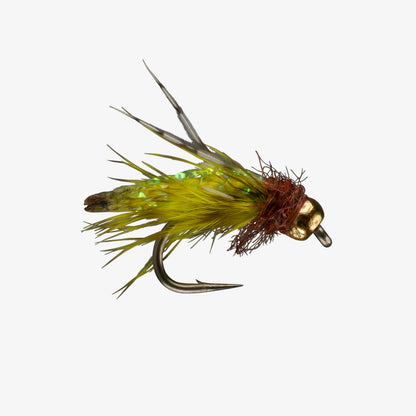 Beadhead Pupa