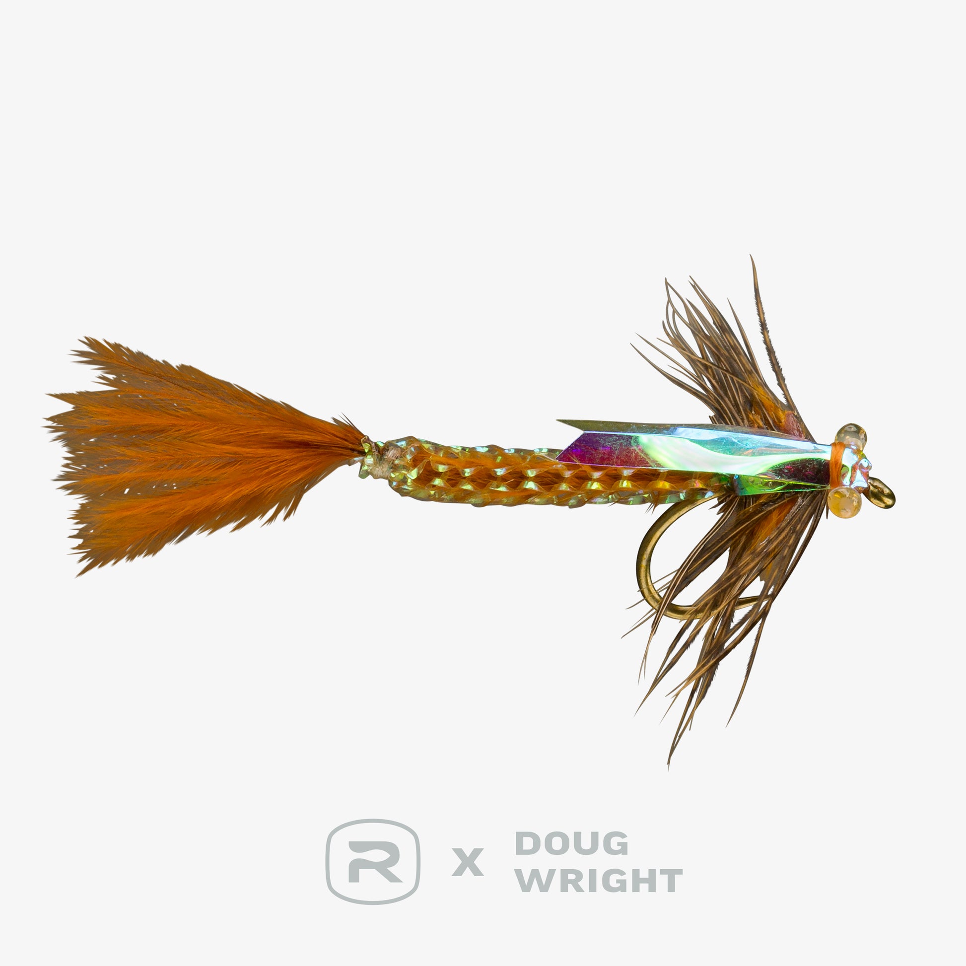 RIO's Wright Damsel