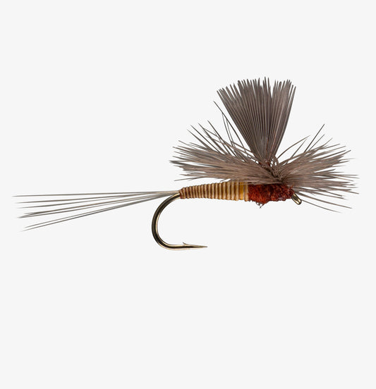 Red Quill Parachute