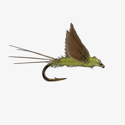 No Hackle