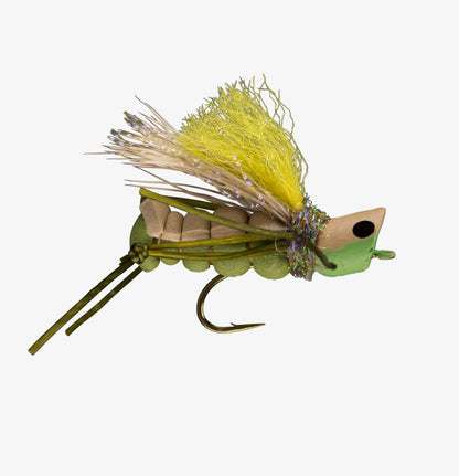 Hopper Popper Olive