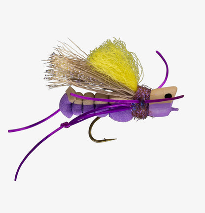 Hopper Popper Purple