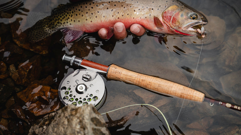Classic Trout Kit 376-4 | Redington