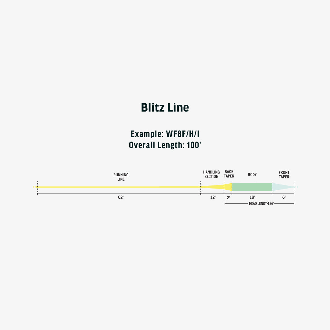Ambassador Series - Blitz Line