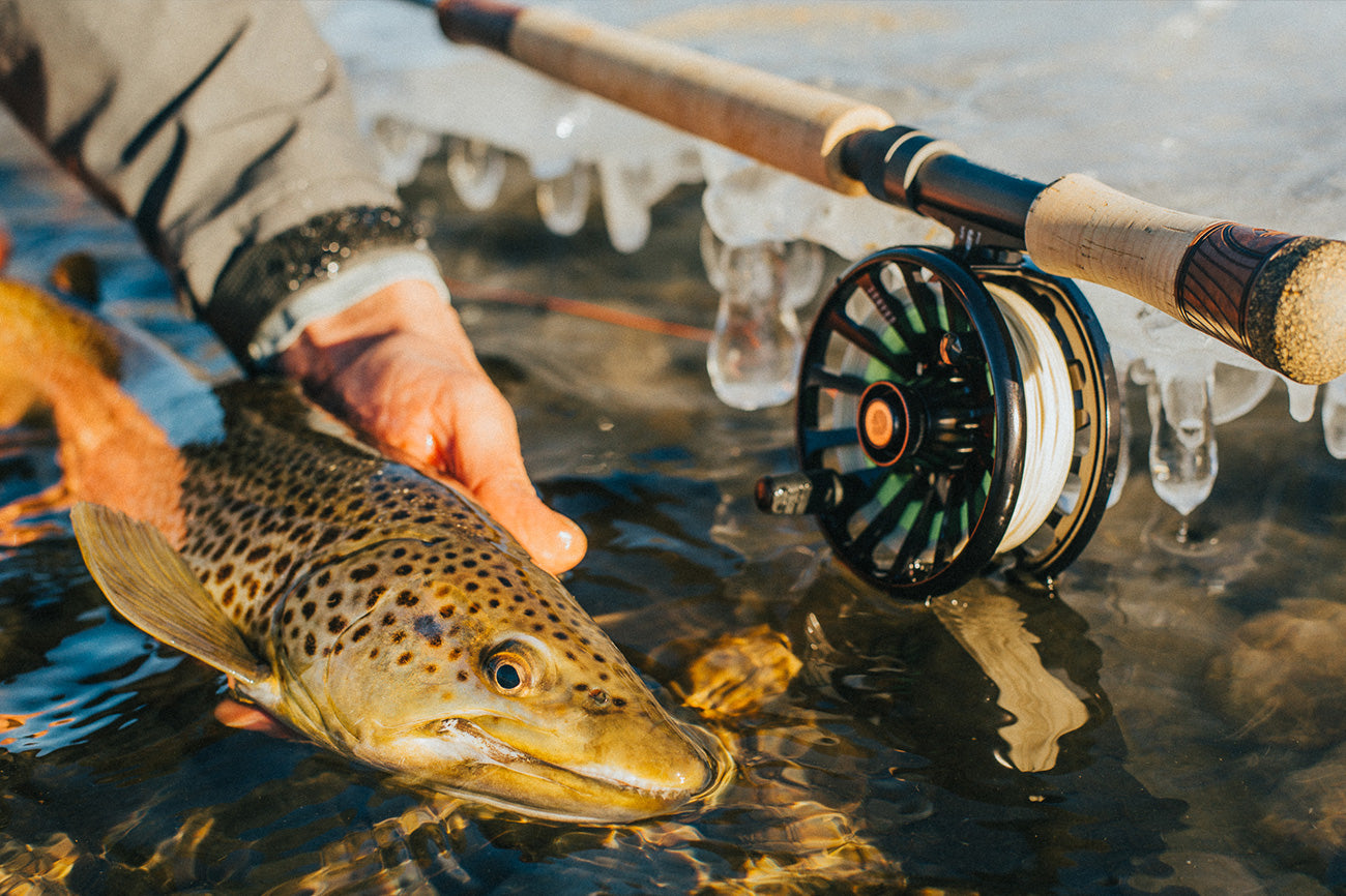 CLAYMORE TROUT SPEY Fly Fishing Rod 4 Weight, 11ft 6in | Redington