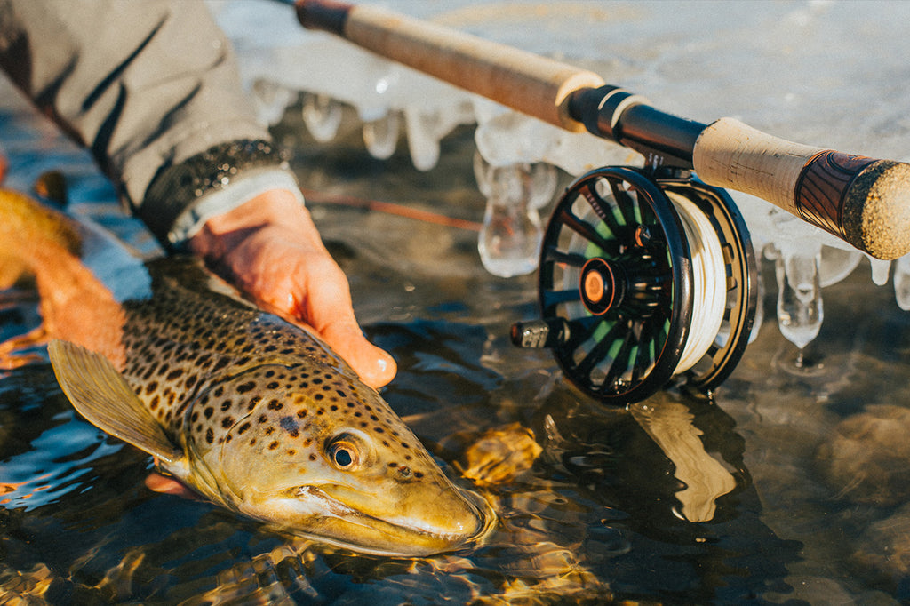 brown trout fly fishing rods CLAYMORE TROUT SPEY Fly Fishing Rod 3 Weight, 11ft 3in