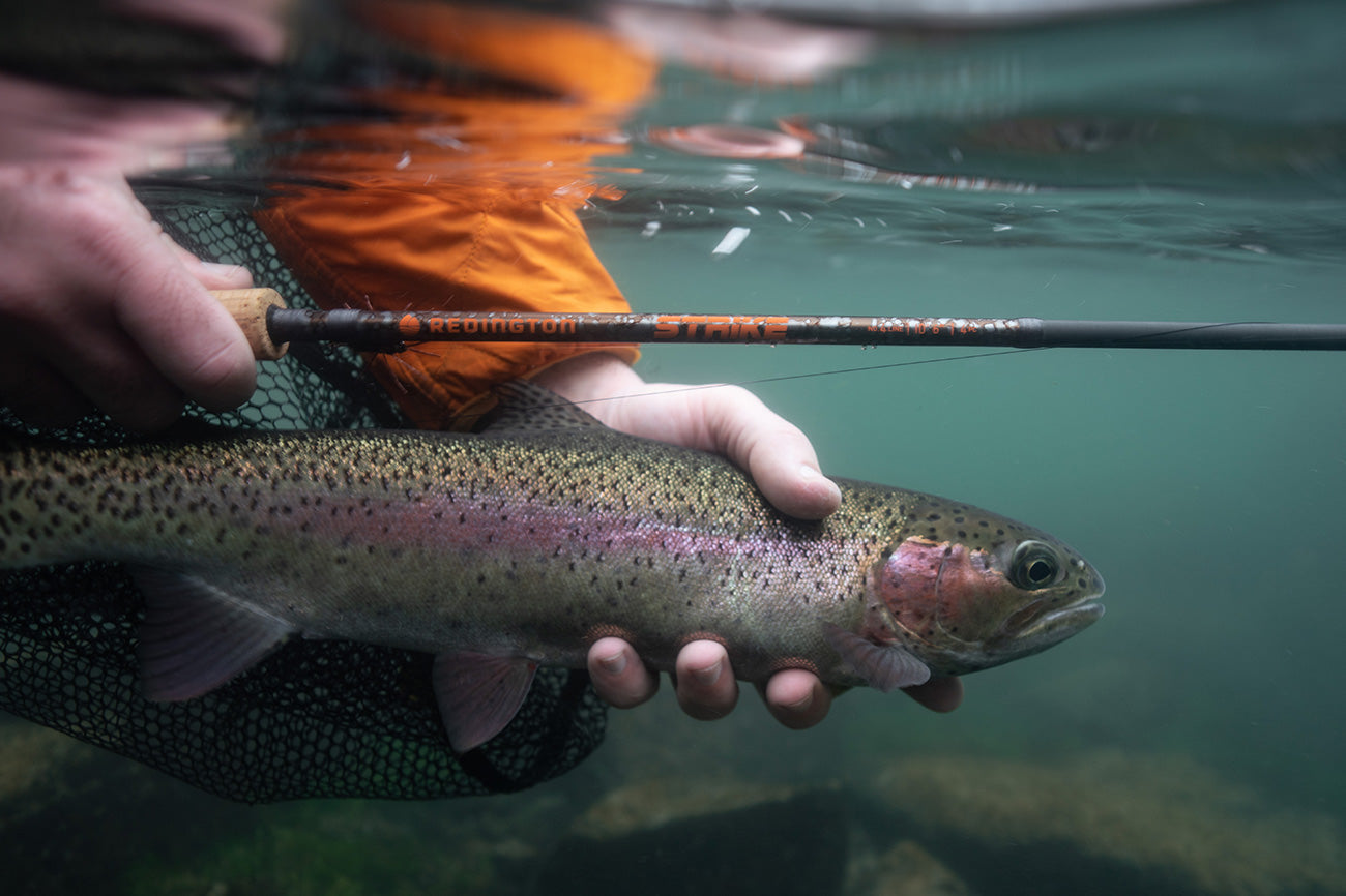 STRIKE Euro Nymphing Fly Fishing Rod 4 Weight, 10ft 6in | Redington