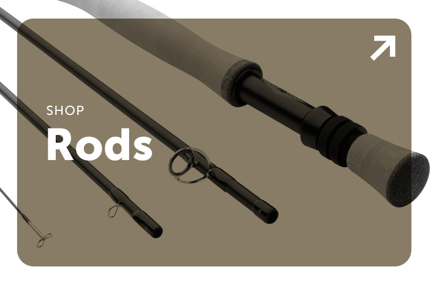 Shop Rods