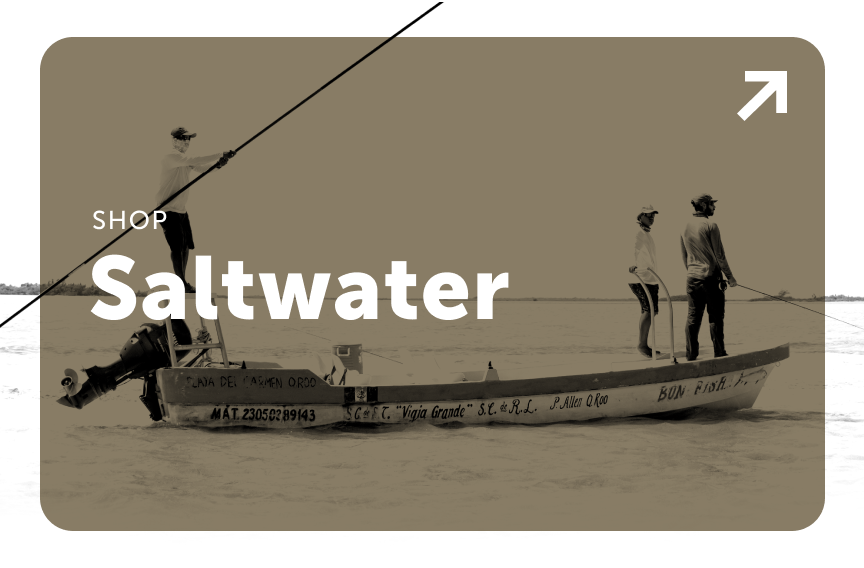 Shop Saltwater