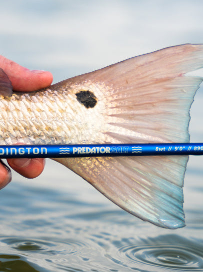 Redington Strike II