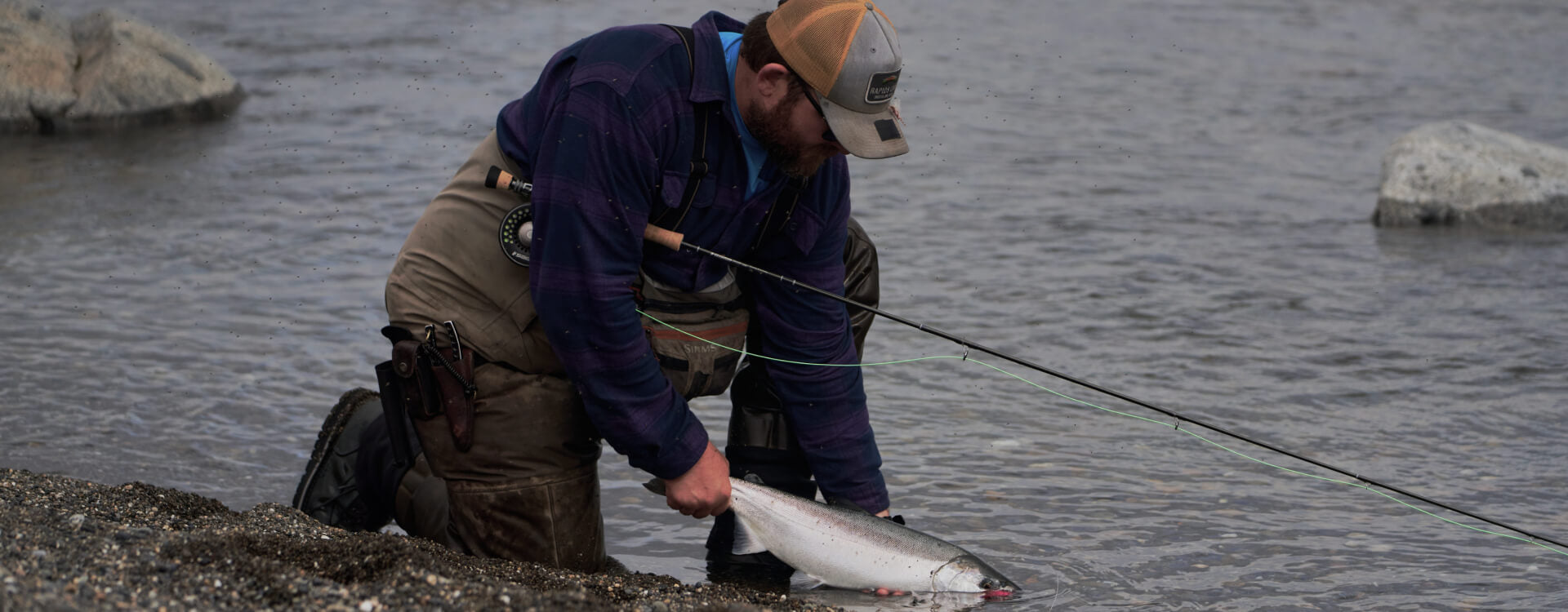 Sage Salmon Alaska Sage Salmon Alaska