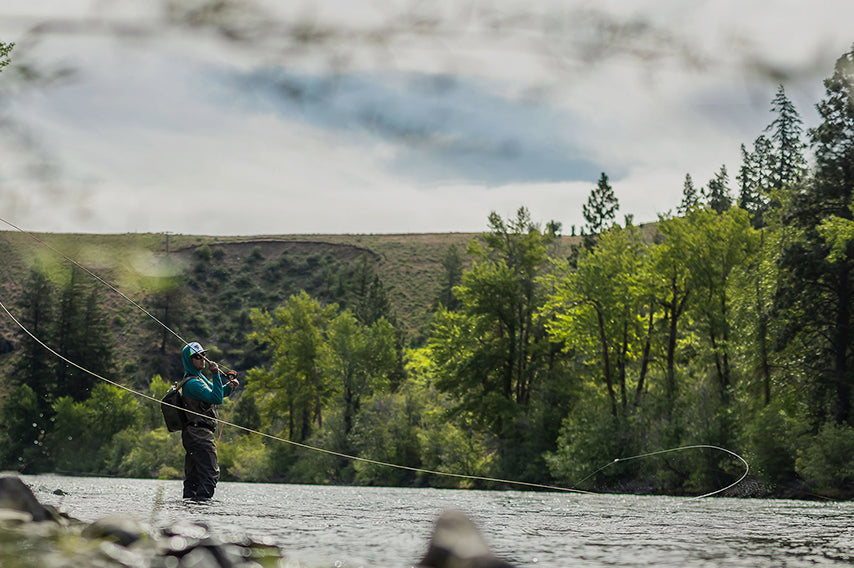 Spey Collections | Sage
