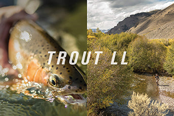 Sage circa rod - Fly Fishing, Gink and Gasoline, How to Fly Fish, Trout  Fishing, Fly Tying